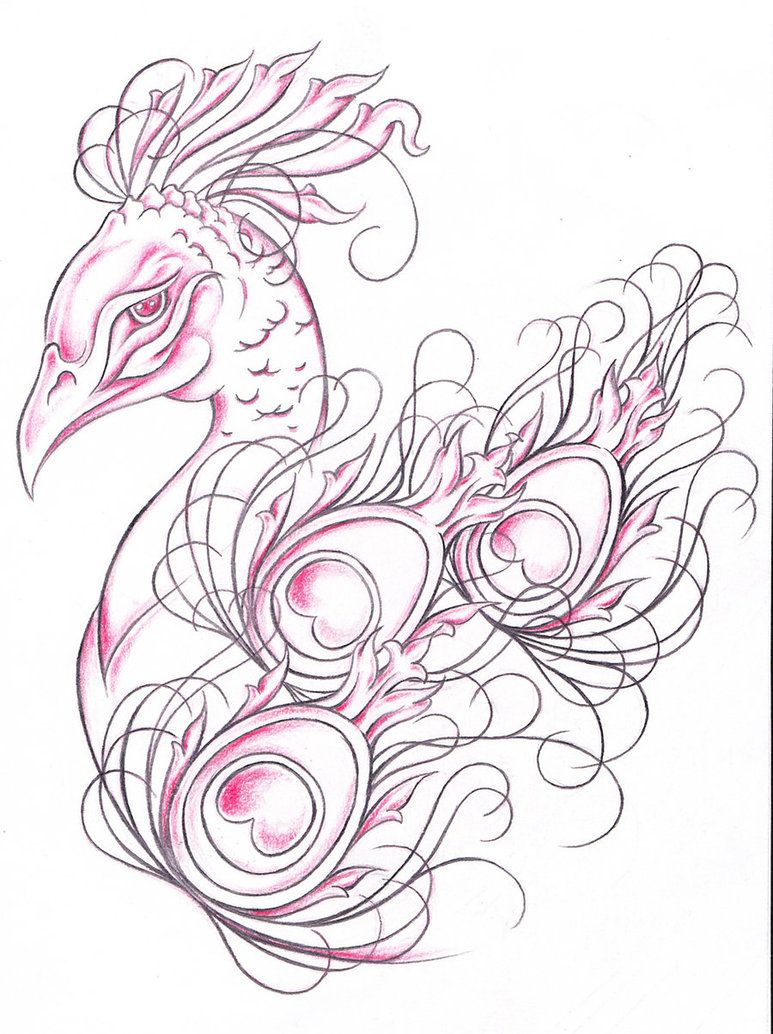 773x1034 Peacock Tattoo Sketch - Peacock Tattoo Sketch