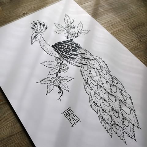 480x480 Peacock Tattoo Designs - Peacock Tattoo Sketch