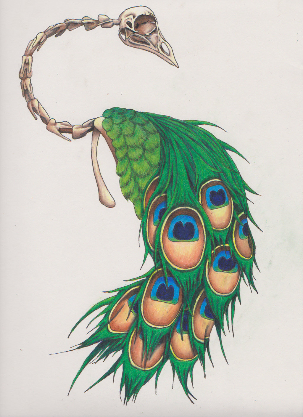 1024x1408 Peacock Tattoo Designs - Peacock Tattoo Sketch