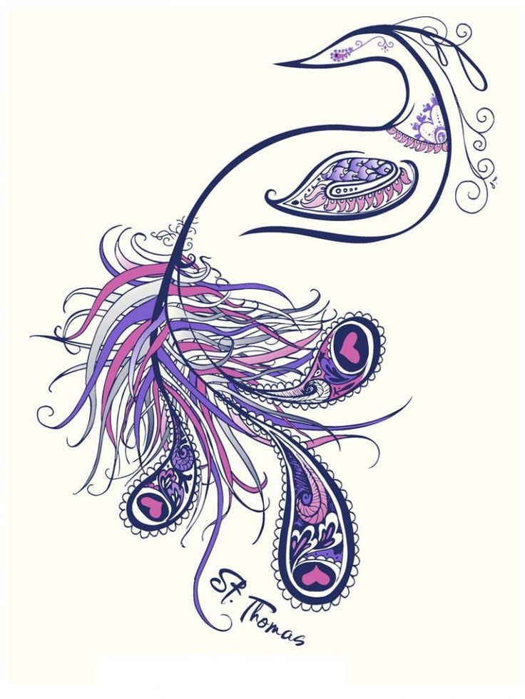 736x980 Simple Peacock Tattoo Designs - Peacock Tattoo Sketch