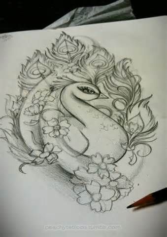 339x480 Peacock Tattoo - Peacock Tattoo Sketch