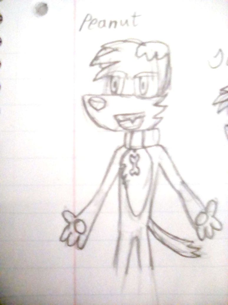 774x1032 March Sketch 2 - Peanut Sketch