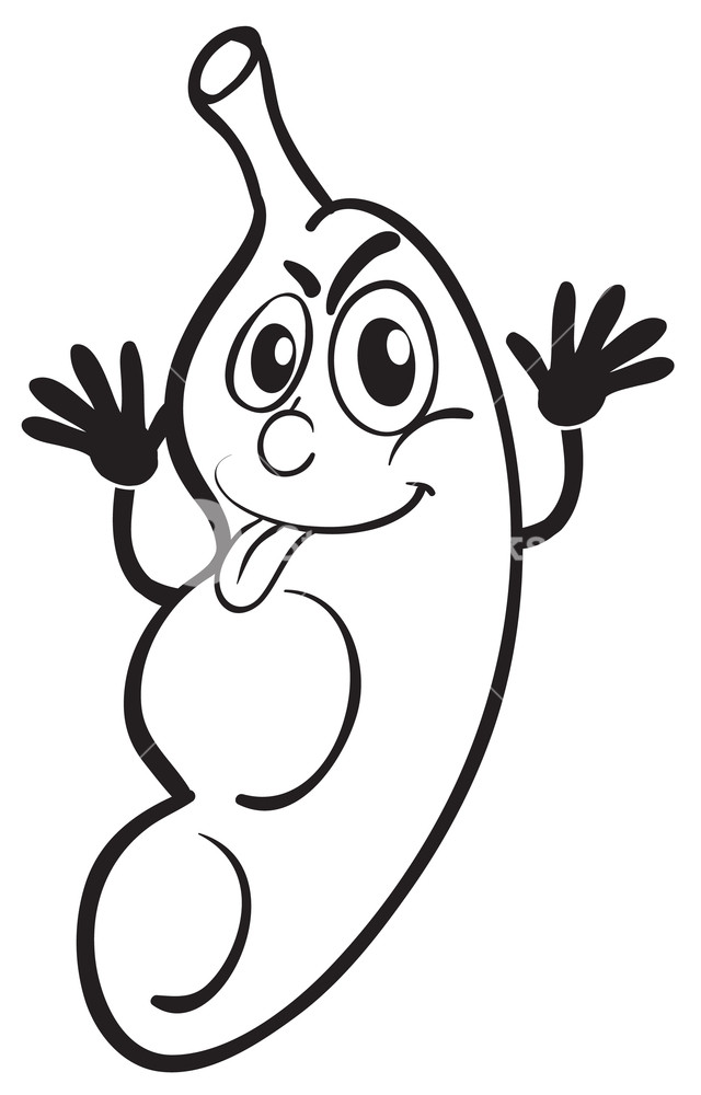 640x1000 Illustration Of A Peanut Sketch On A White Background Royalty Free - Peanut Sketch