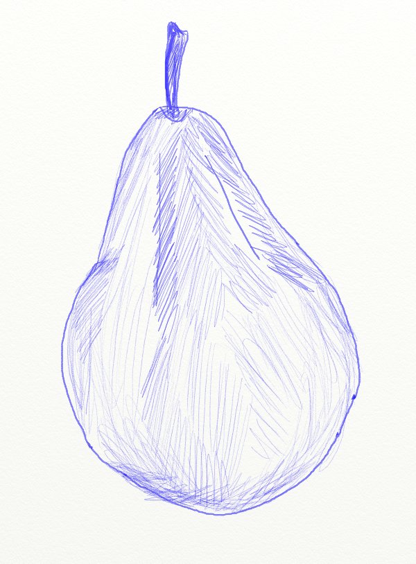 600x814 How To Draw A Pear - Pear Sketch