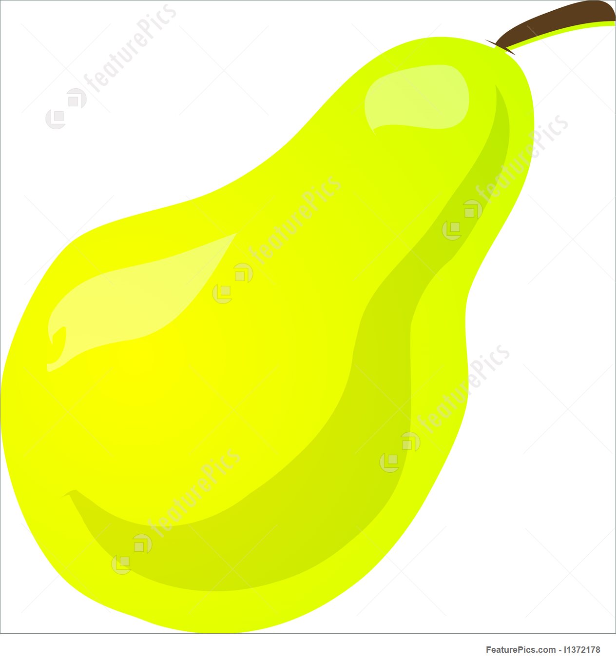 1264x1359 Pear Sketch Illustration - Pear Sketch