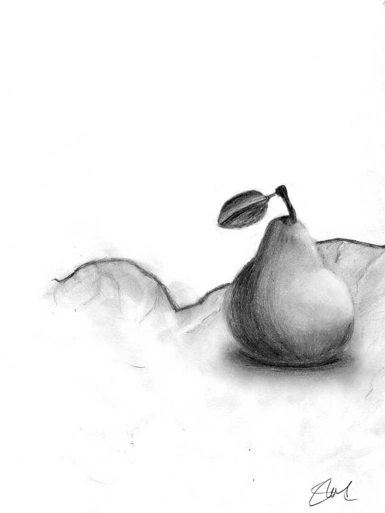 769x1024 Pear Sketch By Birdy Bones - Pear Sketch