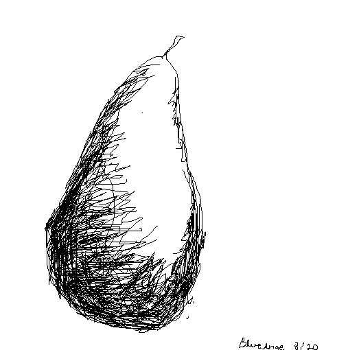 491x510 Pear Sketch By Blueange - Pear Sketch