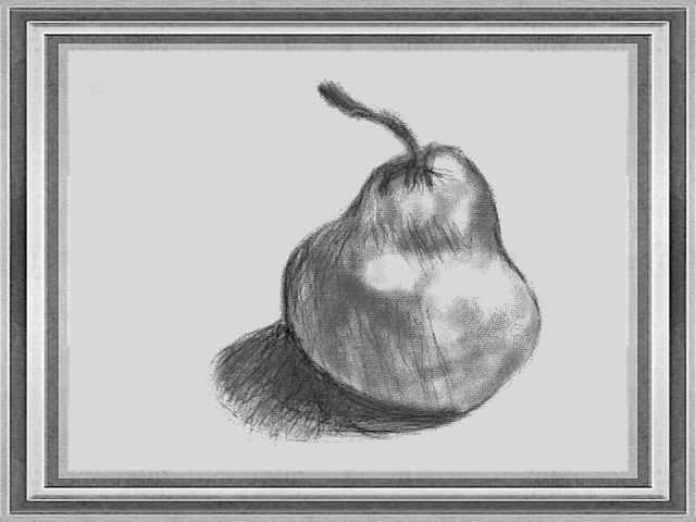 640x480 Pear Sketch By Stormybaka - Pear Sketch