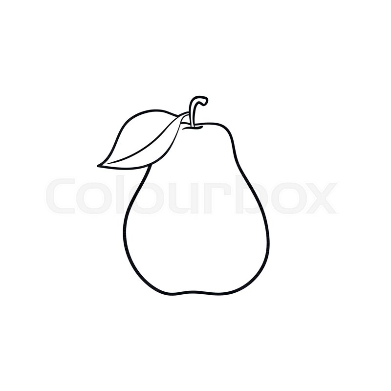 800x800 Pear Fruit Hand Drawn Outline Doodle Icon. Fresh Healthy Fruit - Pear Sketch