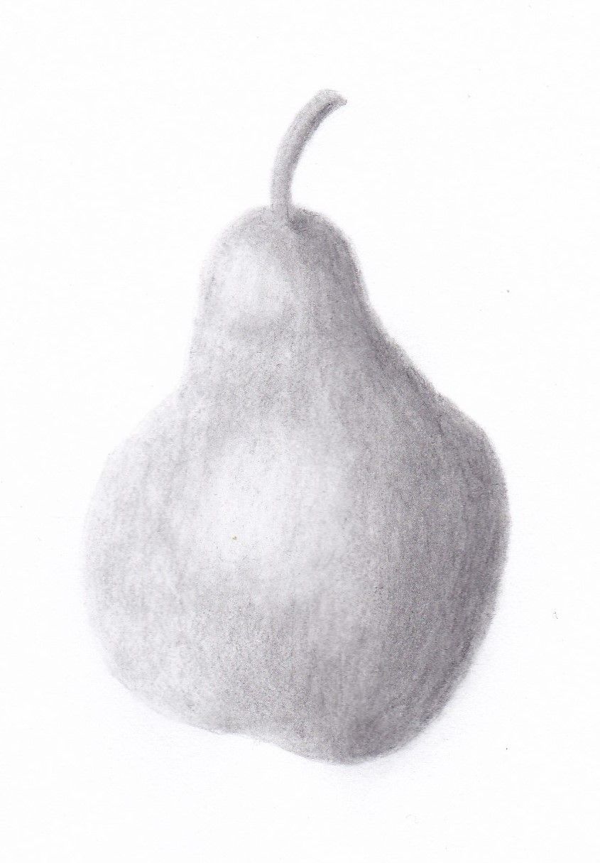 845x1215 Sketch Of A Pear. This Is My Very First Attempt - Pear Sketch