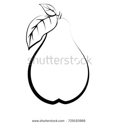 450x470 Fruit Sketches For Coloring Outline Sketch Monochrome Pear Black - Pear Sketch