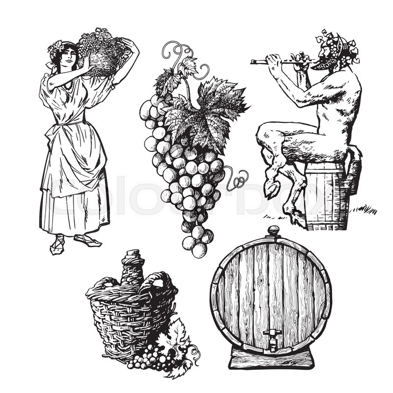 800x800 Set Of Hand Drawn Elements For Wine Design. Beautiful Peasant - Peasant Sketch