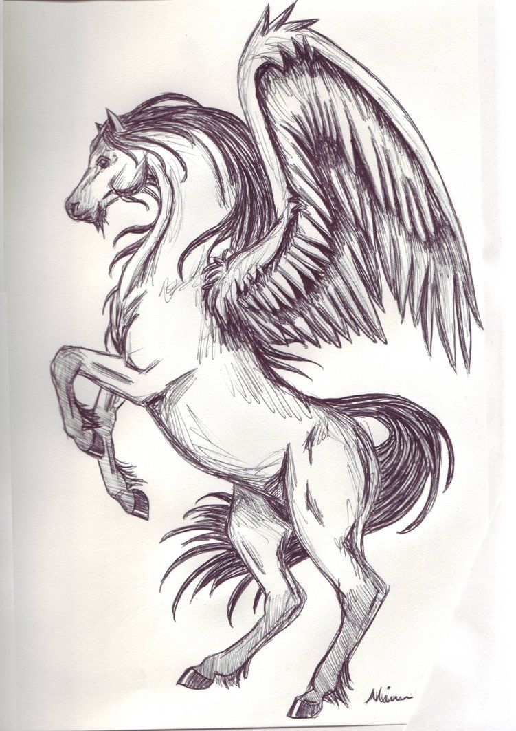 751x1063 Pegasus Sketch 1 By ~spiritwings Art Inspiration - Pegasus Sketch