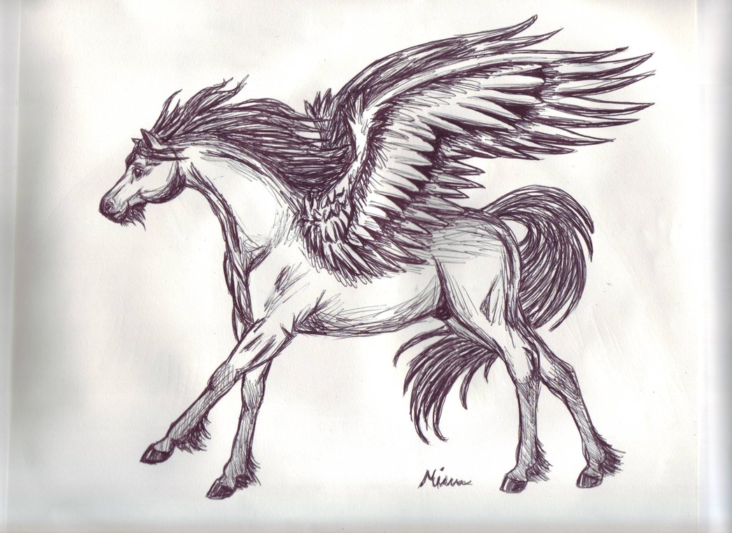 1047x762 Pegasus Sketch 2 By Spiritwings - Pegasus Sketch