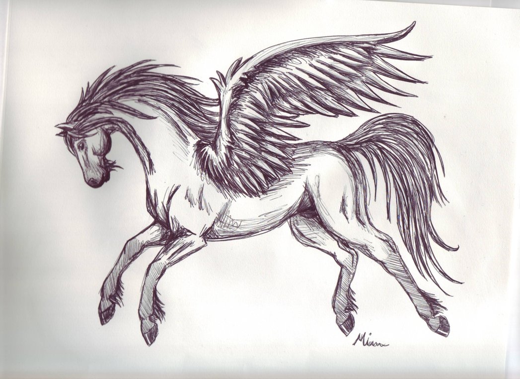 1047x762 Pegasus Sketch 3 By Spiritwings - Pegasus Sketch