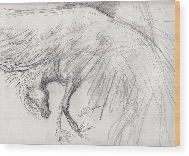 643x532 Pegasus Sketch Wood Print By Callie Smith - Pegasus Sketch