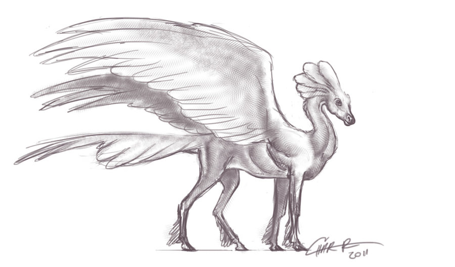 900x529 Pegasus Sketch By Charreed - Pegasus Sketch