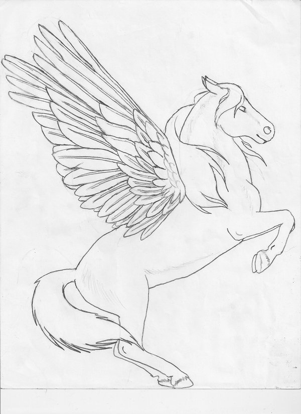600x825 Pegasus Sketch By Gini Beanie - Pegasus Sketch
