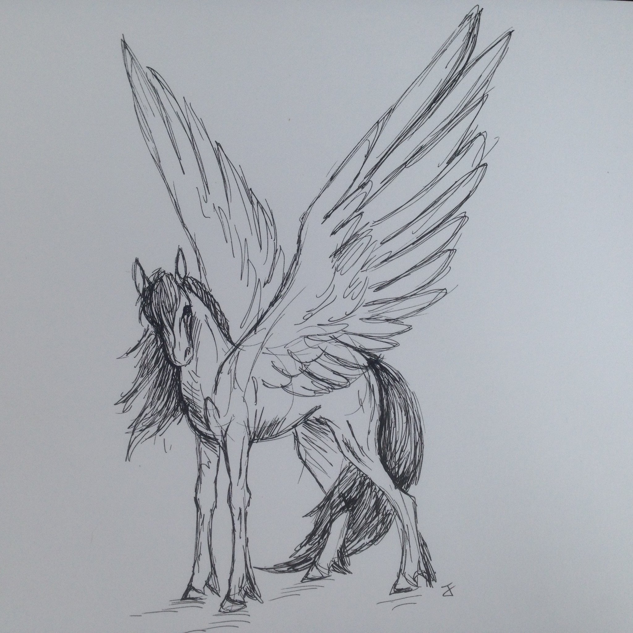 Pegasus Sketch at PaintingValley.com | Explore collection of Pegasus Sketch