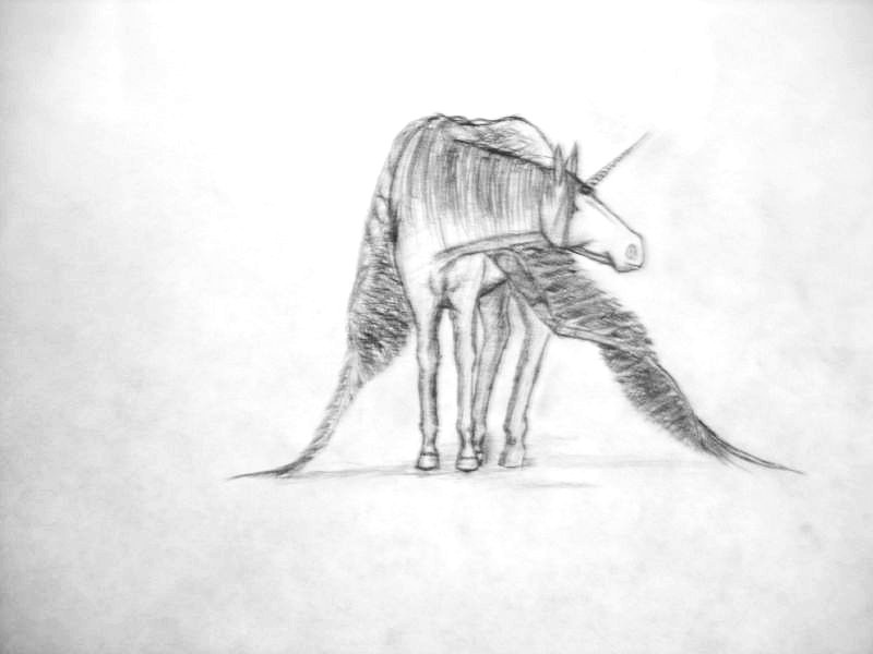 800x600 Unicornpegasus Sketch By Flashfire1979 2d Fantasy - Pegasus Sketch