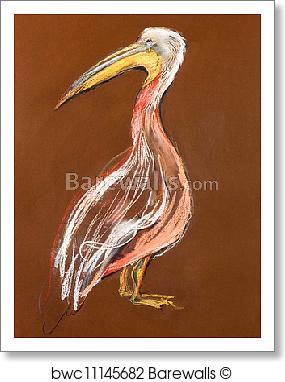 285x382 Art Print Of Sketch Of A Pelican Barewalls Posters Amp Prints - Pelican Sketch