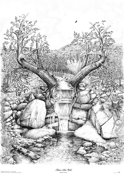 500x711 Pen Amp Ink Drawing By Ron Stevens, The Stonewall Studio Of New - Pen Ink Sketch