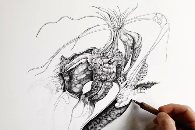640x427 Pen And Ink Drawings By Philip Frank 4 Fubiz Media - Pen Ink Sketch