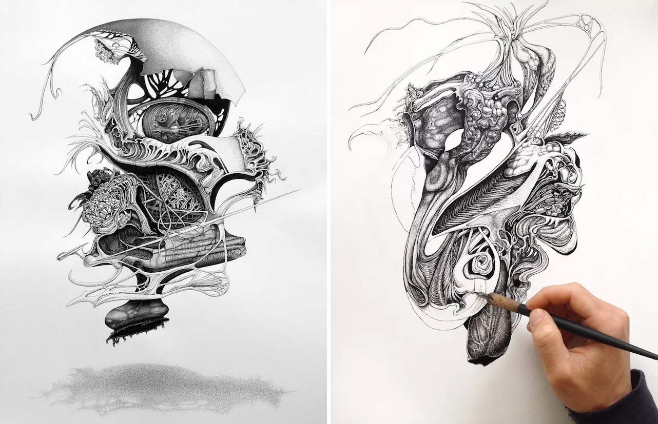 1282x827 Pen And Ink Drawings By Philip Frank Fubiz Media - Pen Ink Sketch