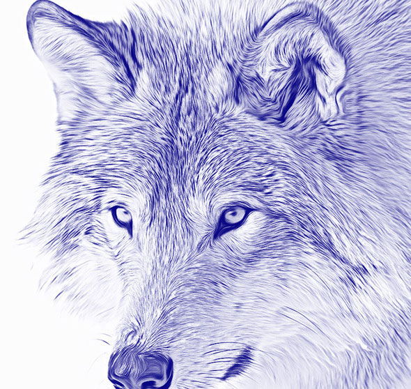 590x558 25 Cool Ink Photo Effect Photoshop Actions Pixel Curse - Pen Sketch Photoshop Action