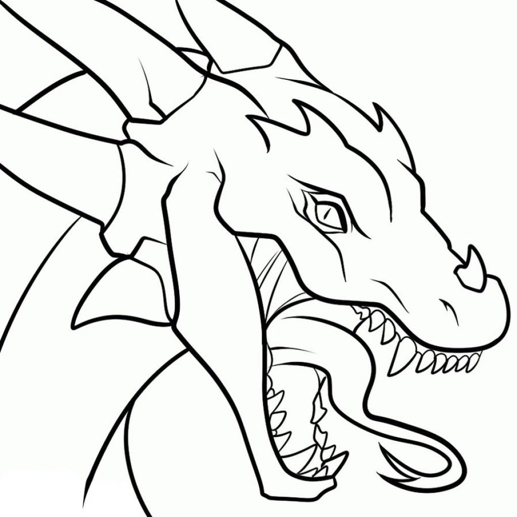 dragon sketch head simple