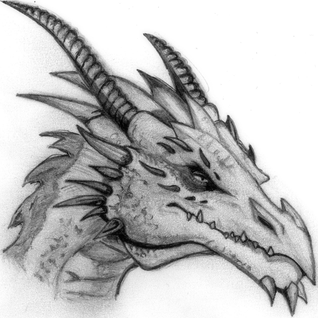 simple dragon sketch drawing