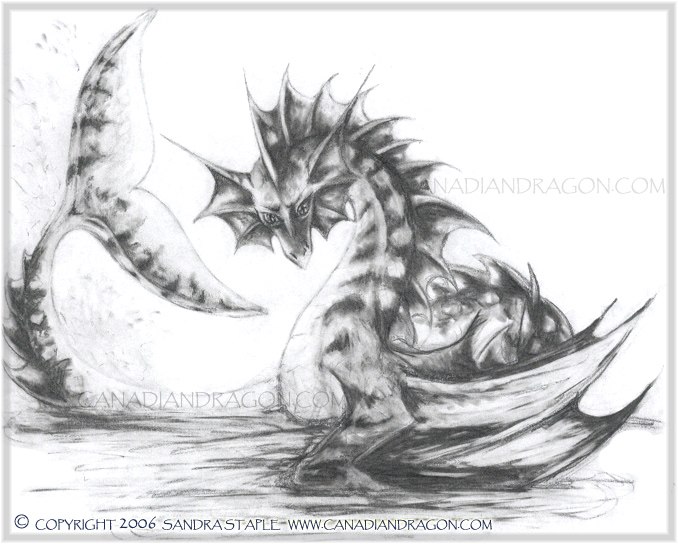 678x544 Canadian Dragon Fantasy Art Original Sea Dragon Pencil Drawing - Pencil Dragon Sketch