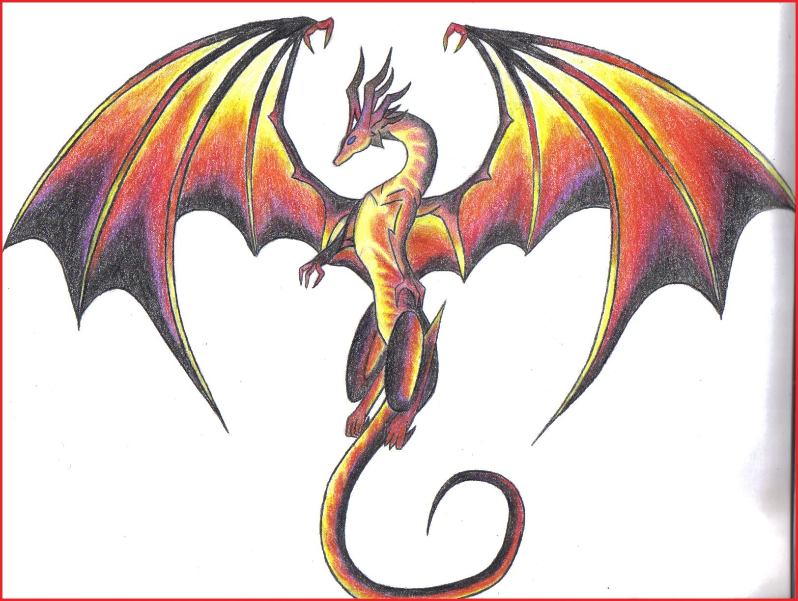 draco dragon sketch