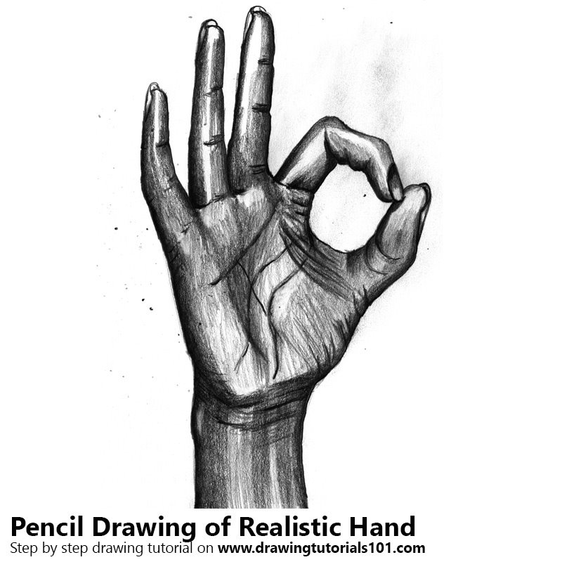 800x800 Realistic Hand Pencil Drawing - Pencil Hand Sketch