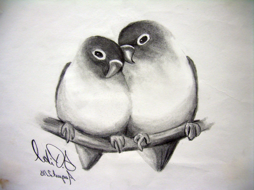 Pencil Shading Drawing Animals bestpencildrawing