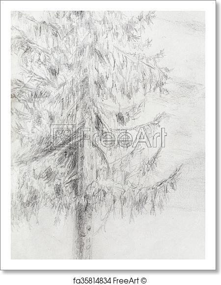 450x580 Free Art Print Of Pencil Drawing Spruce On Old Paper Background - Pencil Sketch Background