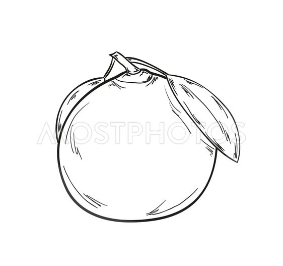 562x527 Clipart Resolution 562527 - Pencil Sketch Clipart