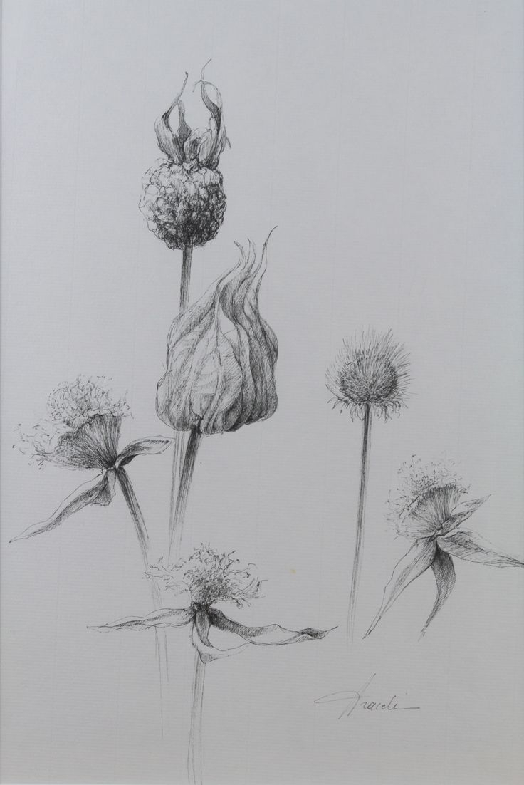 736x1102 Flower Pots Pencil Sketch Hf 14 Best Art Images - Pencil Sketch Collage