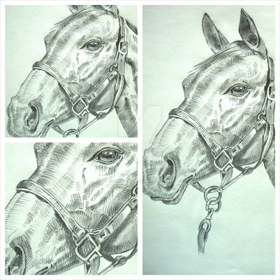 894x894 Pencil Sketch - Pencil Sketch Collage