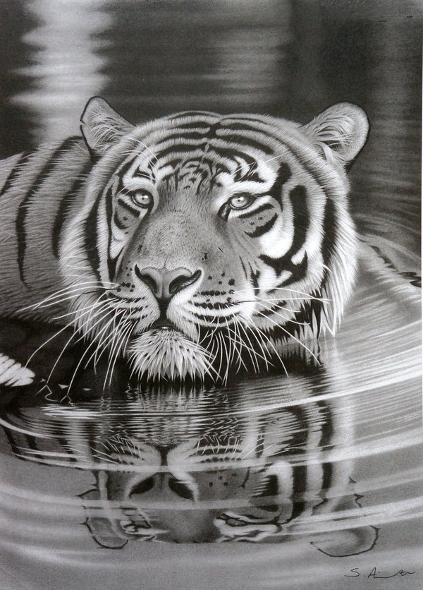 600x836 50 Amazing Pencil Drawings - Pencil Sketch Drawing