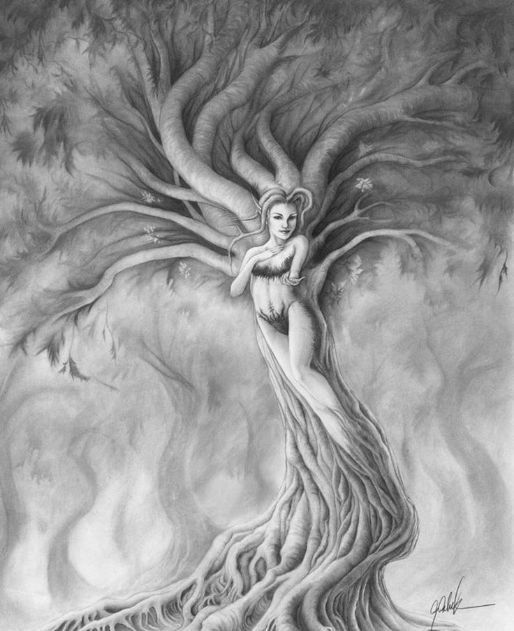 736x904 Pencil Drawings Wallpapers, Wonderful Hdq Live Pencil Drawings - Pencil Sketch Drawing Gallery