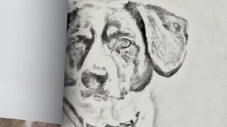 320x180 Pencil Sketch Effect - Pencil Sketch Effects
