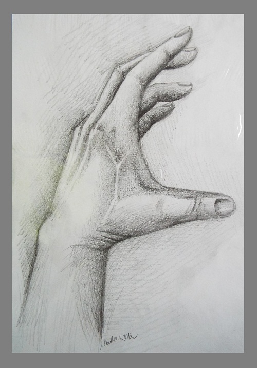500x717 Pencil Drawing Gallery 2 - Pencil Sketch Gallery