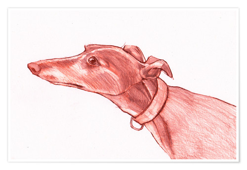 500x345 Jim Griffiths, Greyhound Pencil Drawing White And Red Colour - Pencil Sketch Gratis