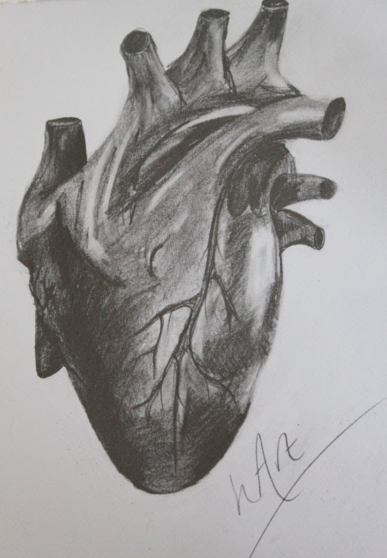 555x800 Collection Of Human Heart Pencil Drawing High Quality, Free - Pencil Sketch Heart