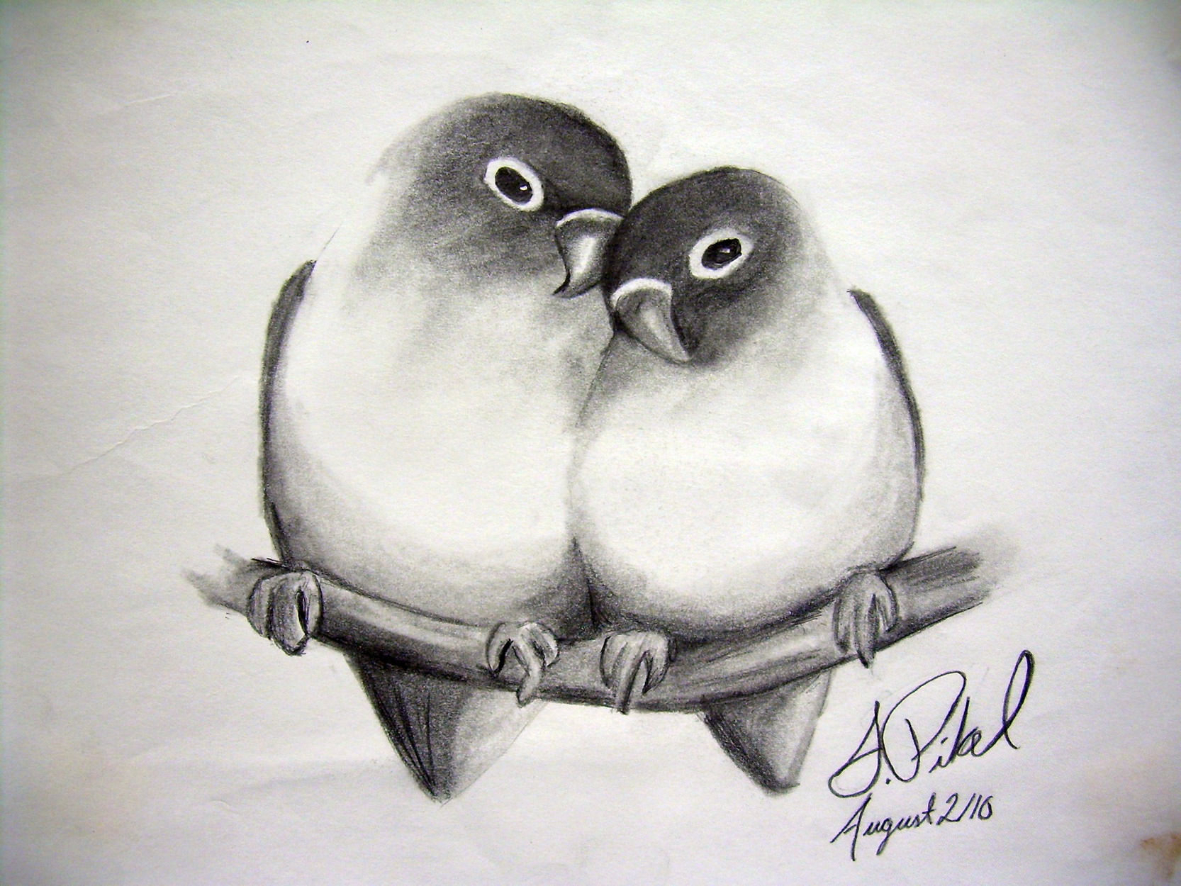 1666x1250 Pencil Sketch Heart Nature Drawing Pictures - Pencil Sketch Heart