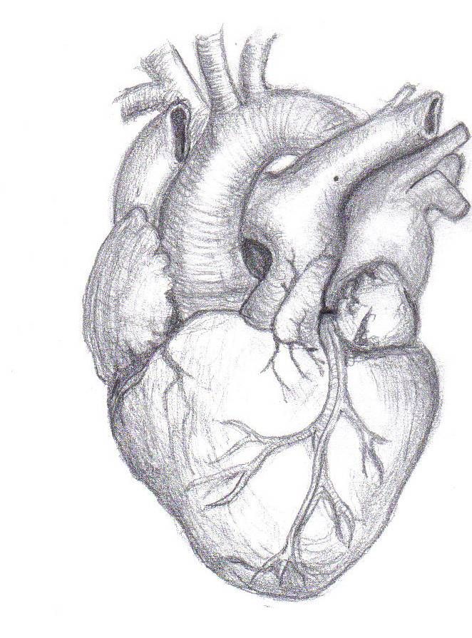 662x895 Broken Heart Pencil Drawing - Pencil Sketch Heart
