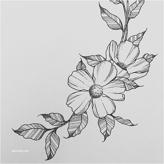 Flowers Drawing Pictures Pencil Easy - bestpencildrawing