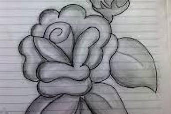 343x228 Pencil Drawings Flowers Pictures - Pencil Sketch Images Flowers