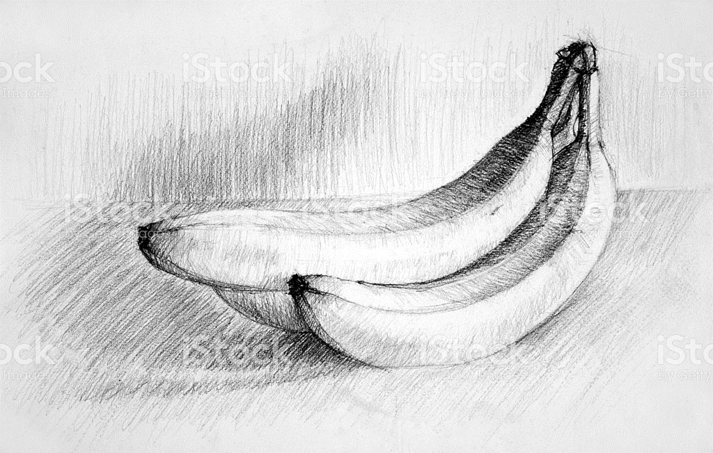 Sketch Of Apple Fruit at PaintingValley.com | Explore collection of
